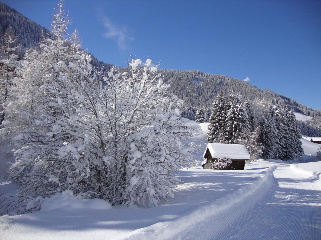 Haus Annemarie Apartments Kartitsch - Hochpustertal Exteriér fotografie